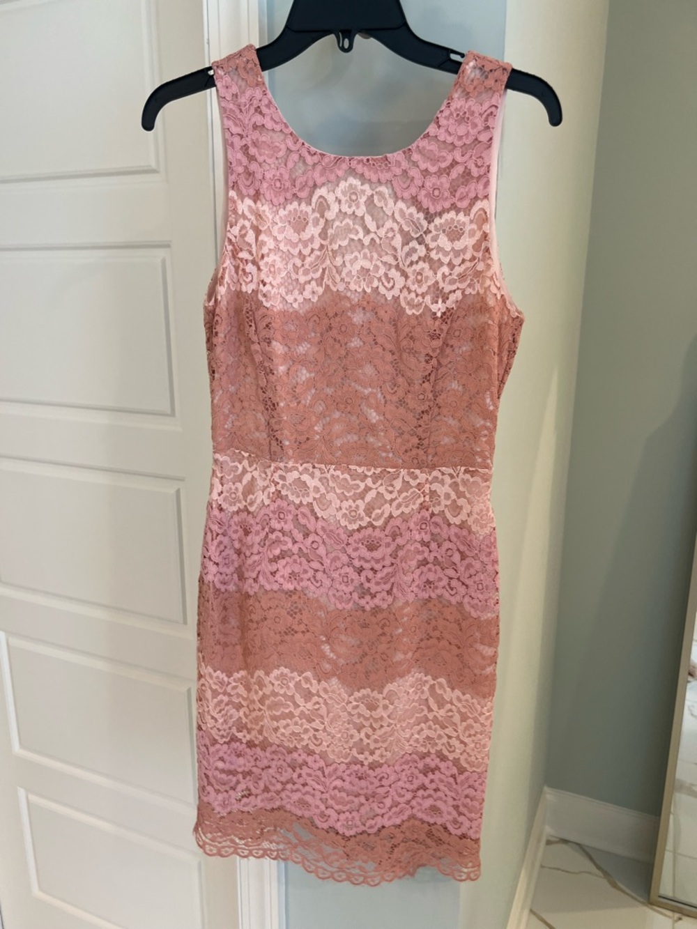 Tahari Pink and Dusty Rose Lace Mini Dress